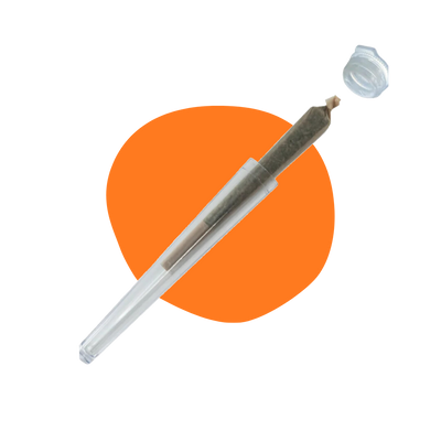 Mango Kush 10-OH prije rolanja