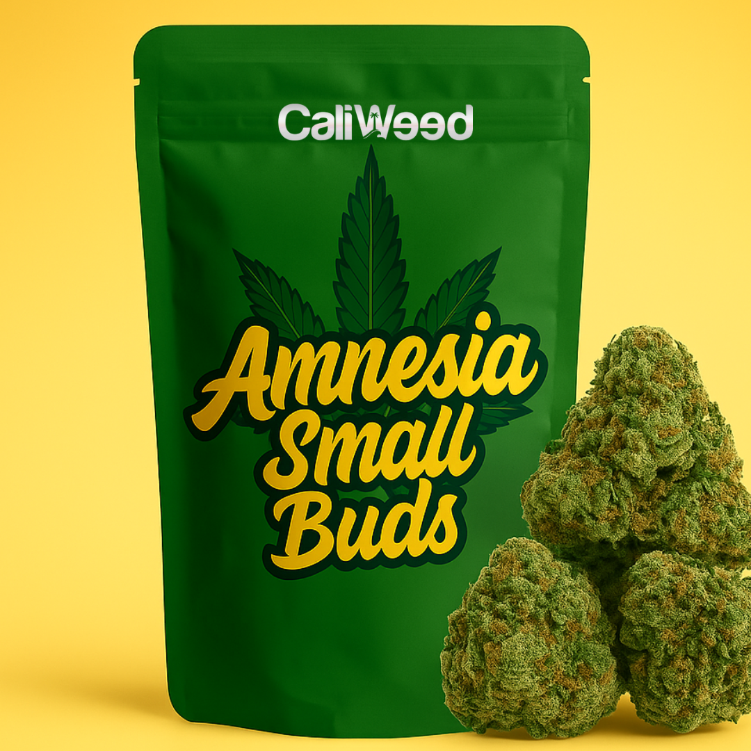 Mali pupoljci Amnesia