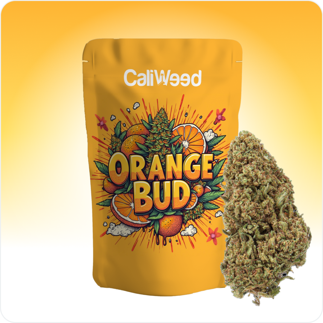 Orange Bud CBD