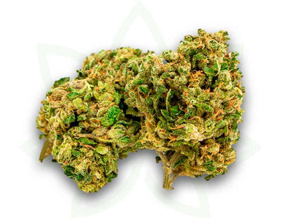 cvijet cbd nyc diesel zatvoreni 3 5 10 20 50 grama mafrenchweed 2