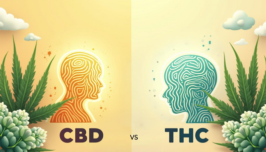 CBD protiv THC-a: Kako vam CBD pomaže da se riješite THC-a?