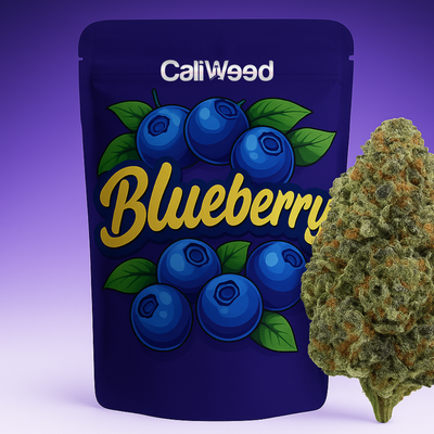 CBD od borovnice
