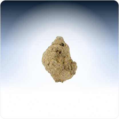 Mali pupoljci Moonrock