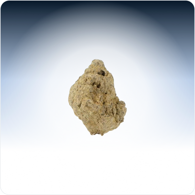 Mali pupoljci Moonrock