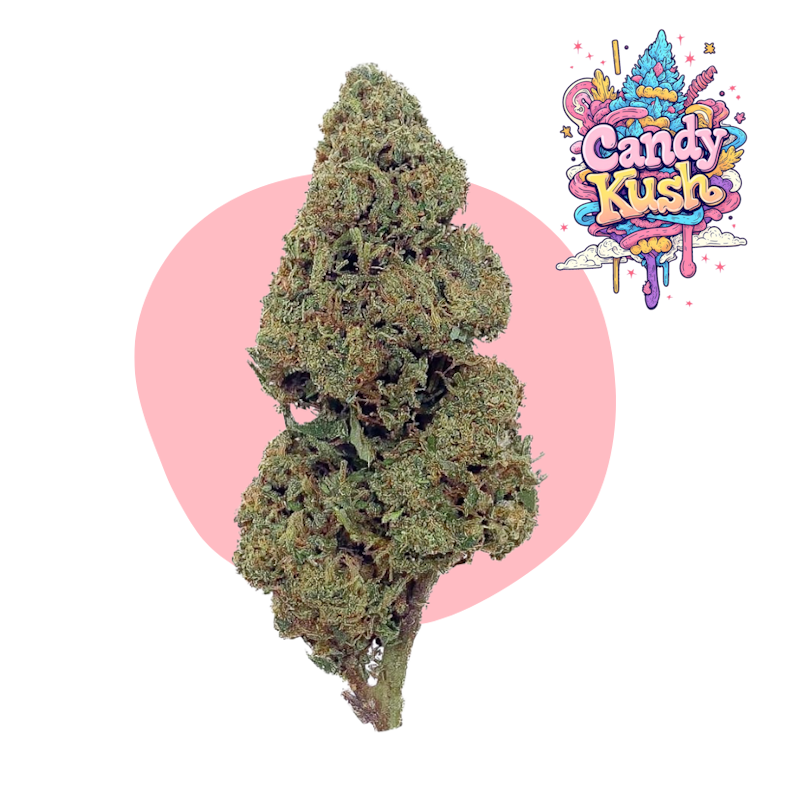 Candy Kush CBD