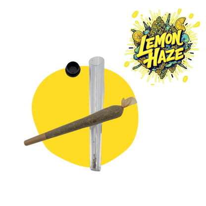 Pre-Roll Lemon CBD